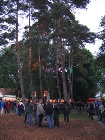 Caribana+trees