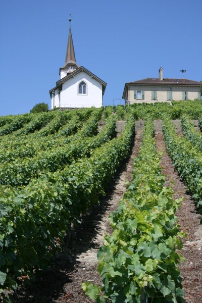 Route+de+Vignoble+010