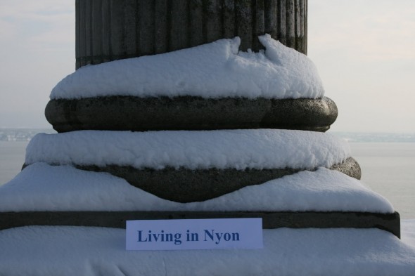 Snowy+Nyon+013